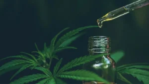 Read more about the article Čo je kanabidiol (CBD)? Kompletný sprievodca