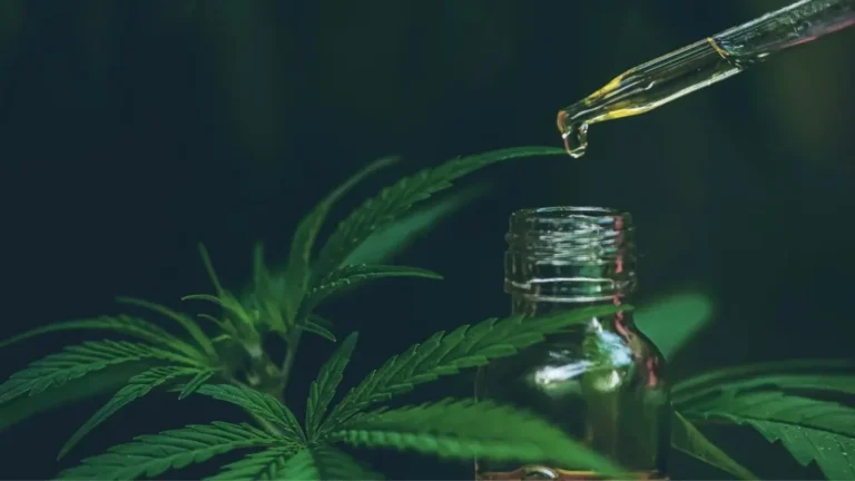 Read more about the article Čo je kanabidiol (CBD)? Kompletný sprievodca